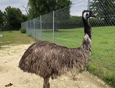 UnsereStar&#039;s der Woche